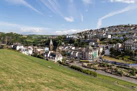 Devon Town View